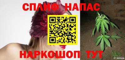 шишки Лесосибирск