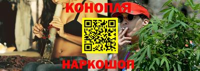 шишки Лесосибирск