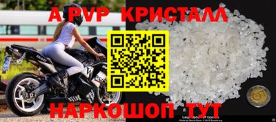 шишки Лесосибирск