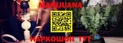 шишки Лесосибирск