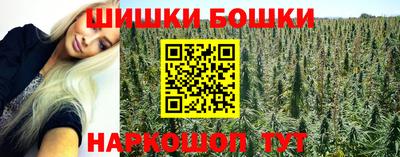 шишки Лесосибирск