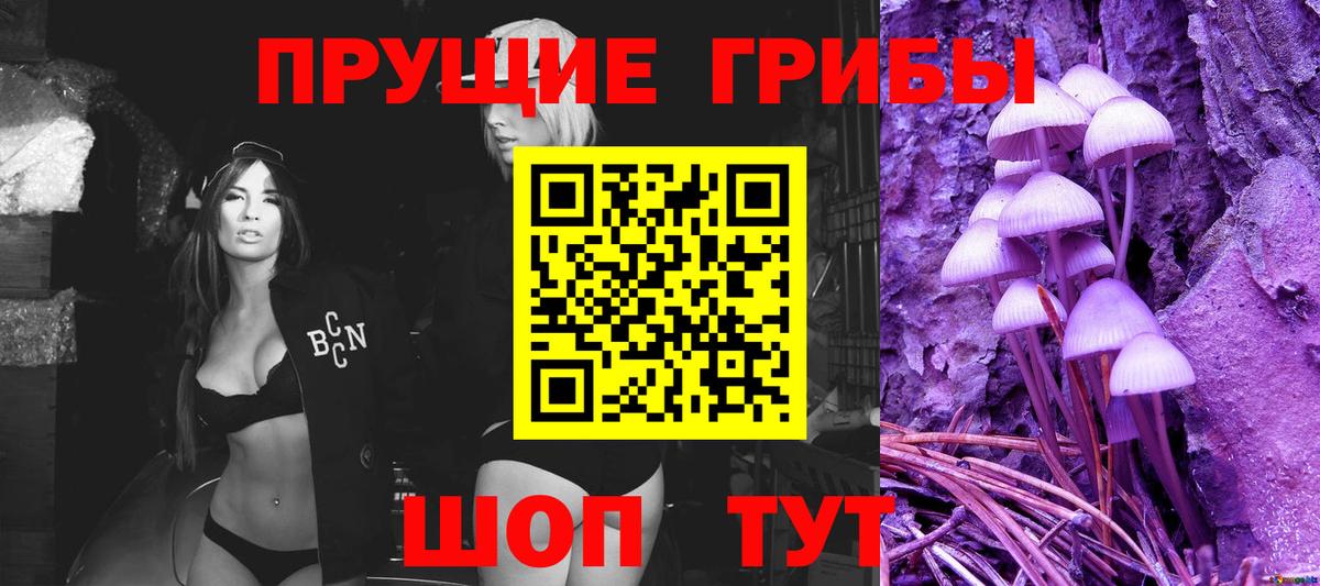 Псилоцибиновые грибы MAGIC MUSHROOMS Домодедово